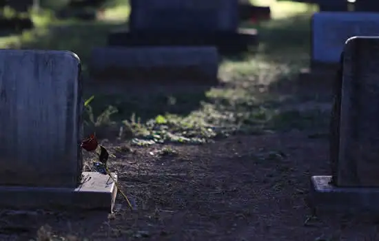 Articolo decorativo per lapidi e tombe