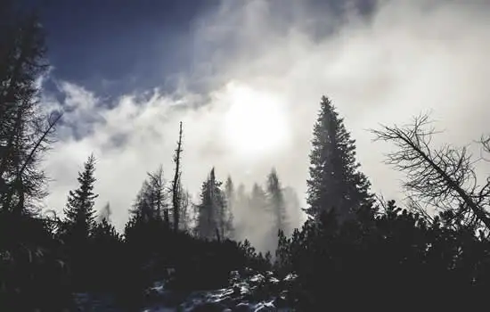 Annunci funebri San Miniato